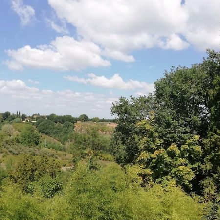 Nel Chianti Lungo La Francigena Daire Colle Val D'Elsa Dış mekan fotoğraf
