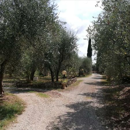 Nel Chianti Lungo La Francigena Daire Colle Val D'Elsa Dış mekan fotoğraf
