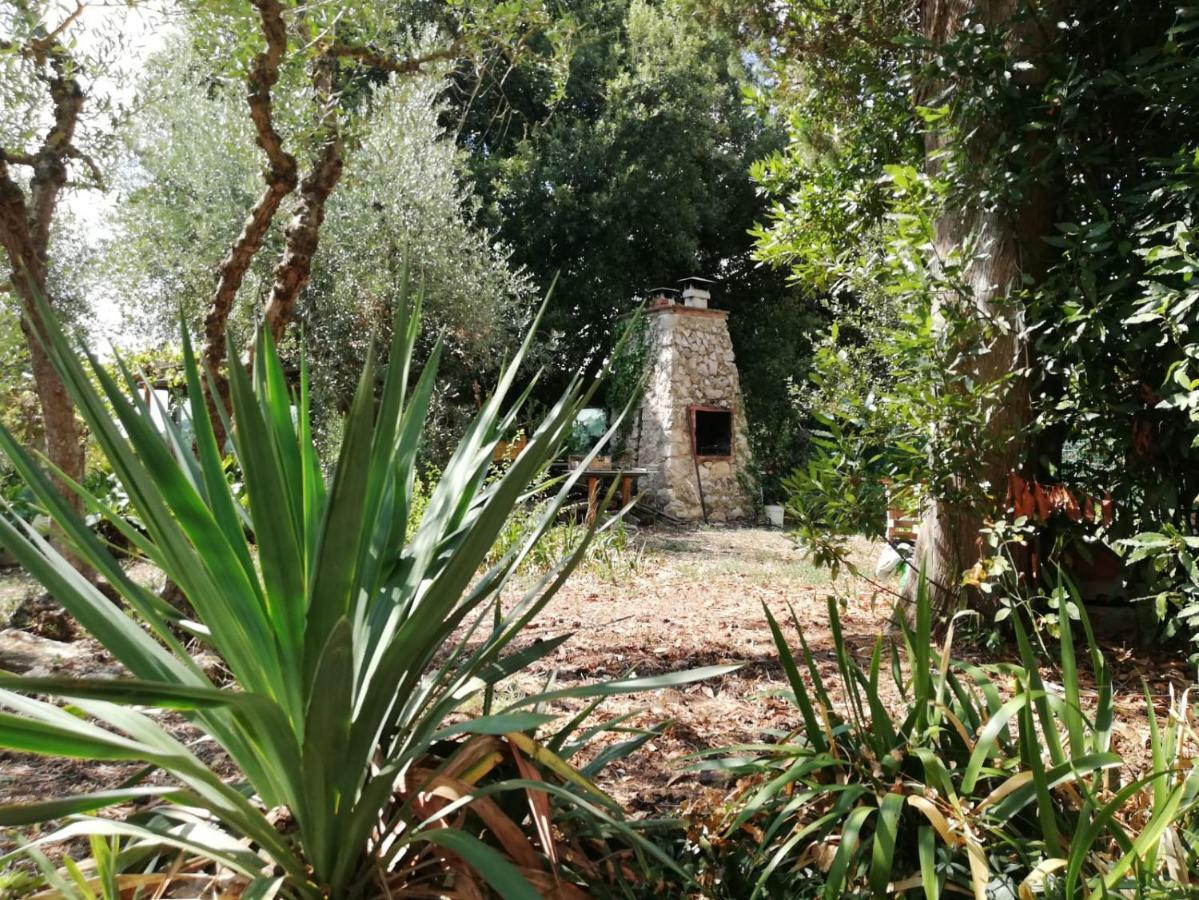 Nel Chianti Lungo La Francigena Daire Colle Val D'Elsa Dış mekan fotoğraf