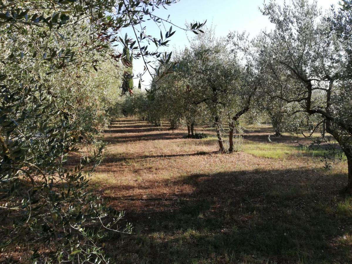 Nel Chianti Lungo La Francigena Daire Colle Val D'Elsa Dış mekan fotoğraf