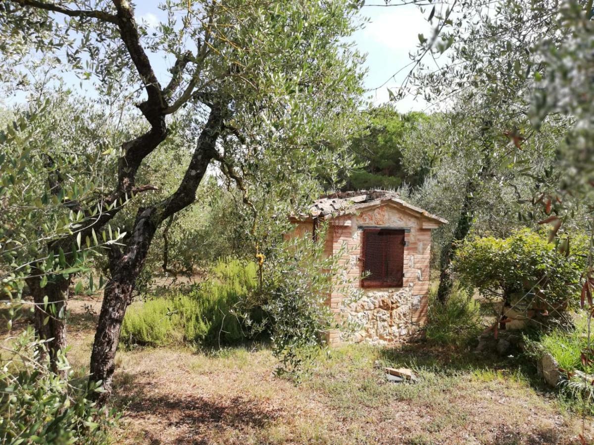 Nel Chianti Lungo La Francigena Daire Colle Val D'Elsa Dış mekan fotoğraf