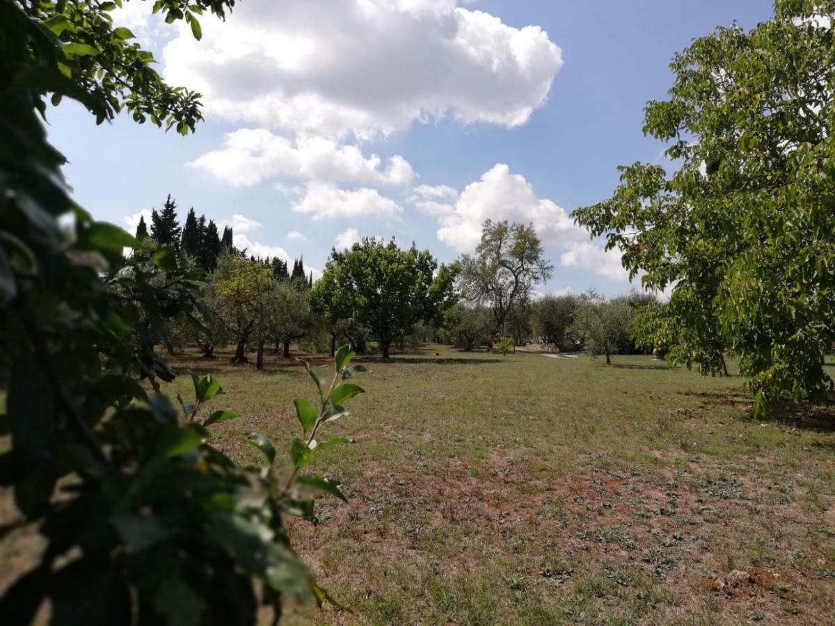 Nel Chianti Lungo La Francigena Daire Colle Val D'Elsa Dış mekan fotoğraf