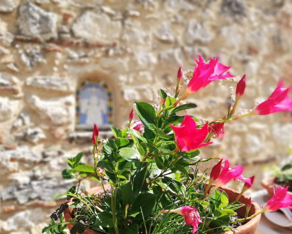 Nel Chianti Lungo La Francigena Daire Colle Val D'Elsa Dış mekan fotoğraf