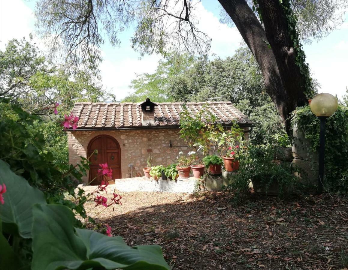 Nel Chianti Lungo La Francigena Daire Colle Val D'Elsa Dış mekan fotoğraf