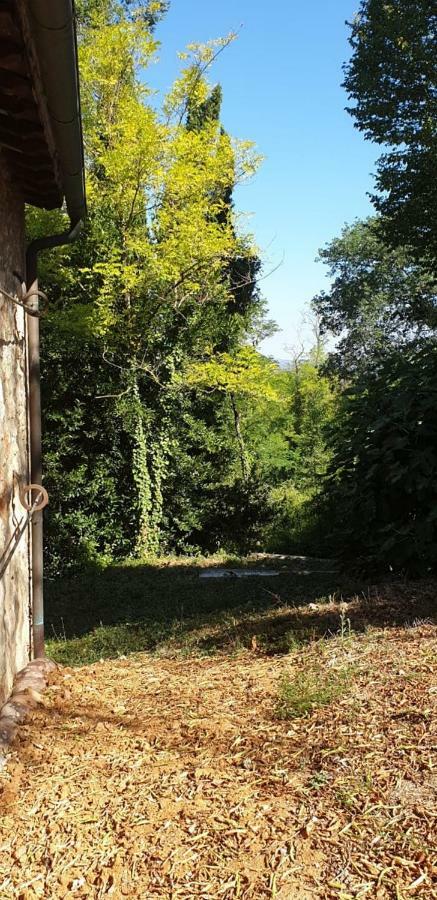 Nel Chianti Lungo La Francigena Daire Colle Val D'Elsa Dış mekan fotoğraf