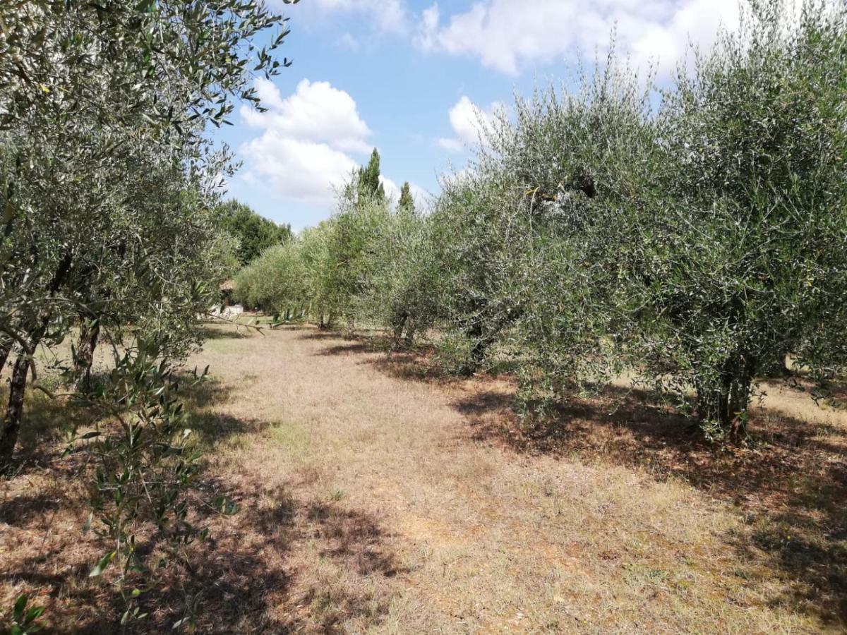 Nel Chianti Lungo La Francigena Daire Colle Val D'Elsa Dış mekan fotoğraf
