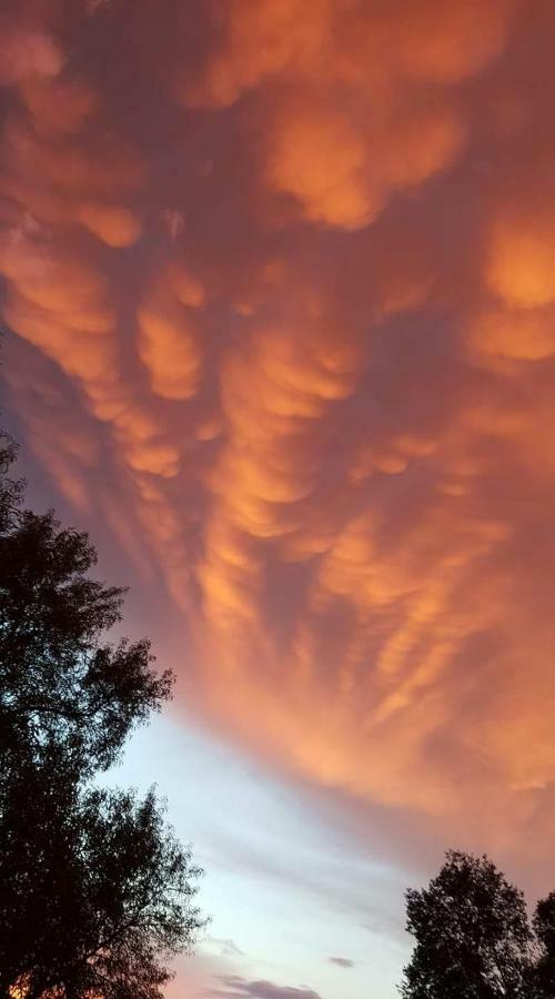 Nel Chianti Lungo La Francigena Daire Colle Val D'Elsa Dış mekan fotoğraf
