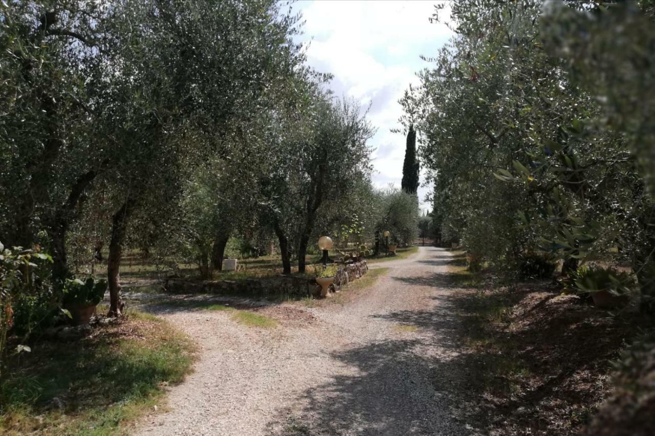 Nel Chianti Lungo La Francigena Daire Colle Val D'Elsa Dış mekan fotoğraf