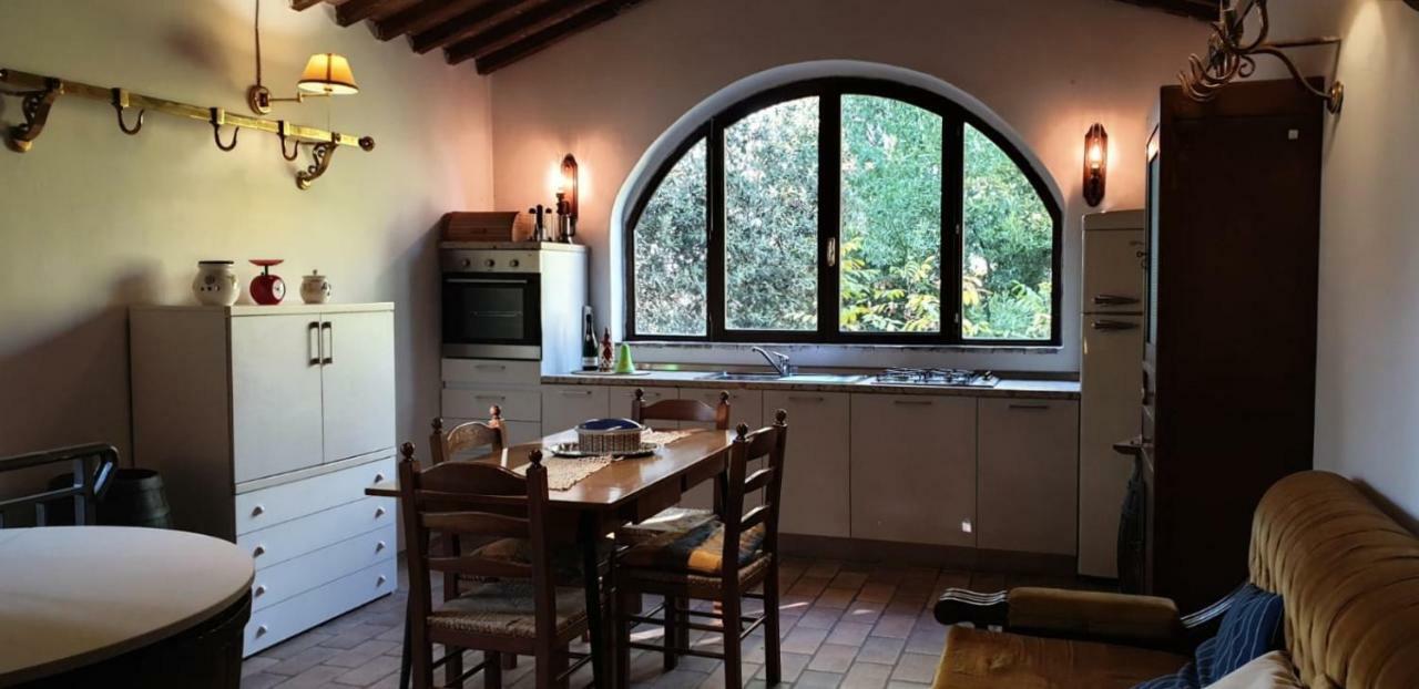 Nel Chianti Lungo La Francigena Daire Colle Val D'Elsa Dış mekan fotoğraf